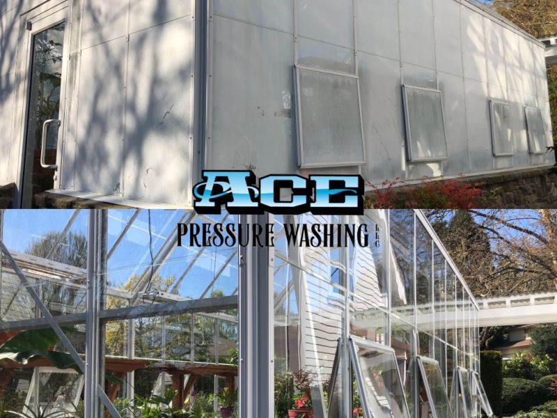 Amazing results of exterior cleaning on glass greenhouse